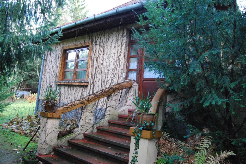 Boroka Apartmanhazak - Oereghaz Velem Room photo